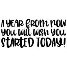 a year from now you will wish you started today