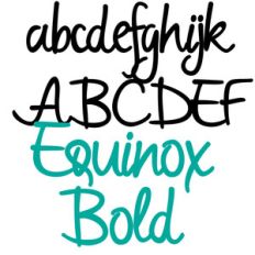 zp equinox bold