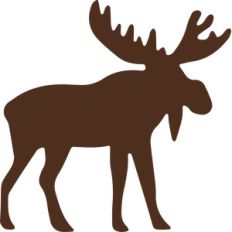 moose