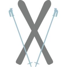 ski poles and skis