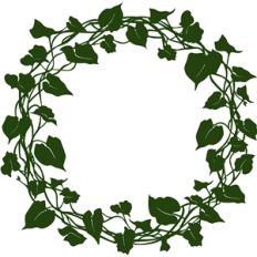 ivy wreath