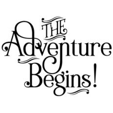 the adventure begins quote