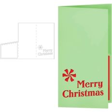 mint moneyholder card