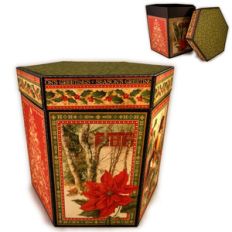 Large hexagon box with lid
