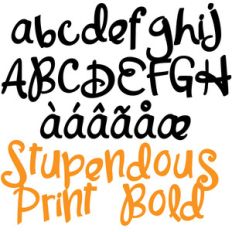 zp stupendous print bold