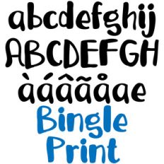 pn bingle print