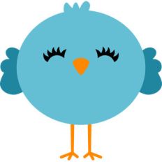 little bird