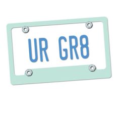 licence plate