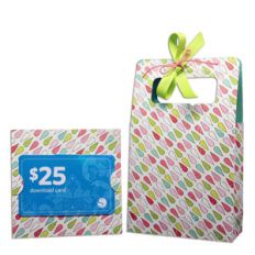 gift card gift bag