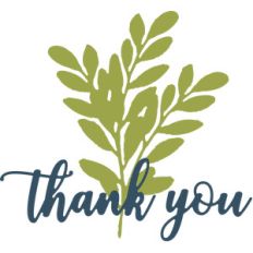 thank you and branch