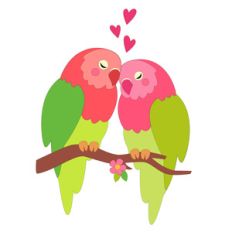 love birds