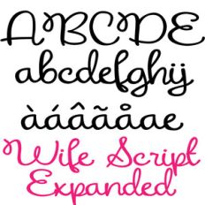 pn wifey script expanded