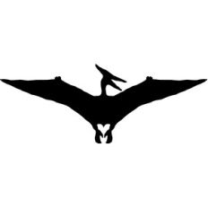 pteranodon silhouette