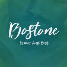 bostone brush