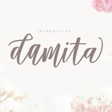 damita script