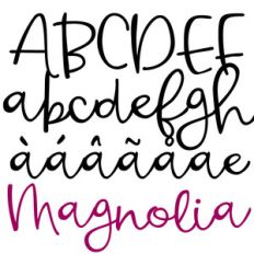pn magnolia