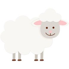 sheep