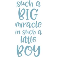 such a big miracle quote