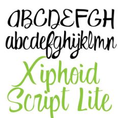 zp xiphoid script lite