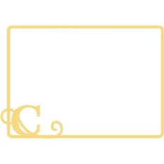 c initial frame