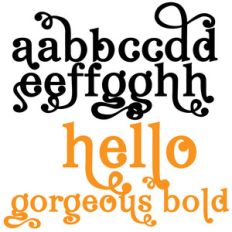 pn hello gorgeous bold
