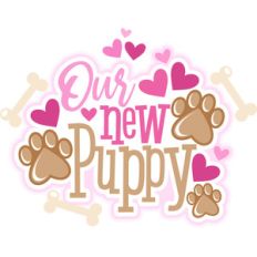 our new puppy title