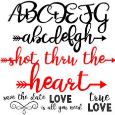 zp shot thru the heart