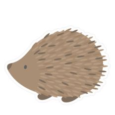 hedgehog
