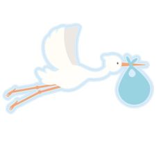 stork