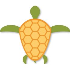 sea turtle
