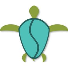 sea turtle