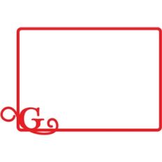 g initial frame