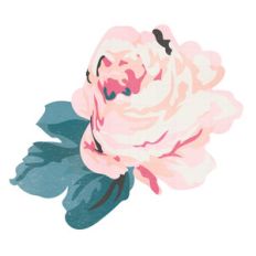 pink flower