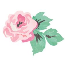 pink flower