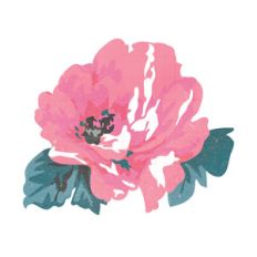 pink flower
