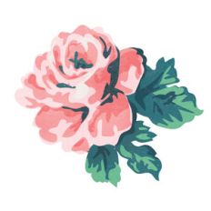 pink flower