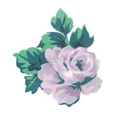purple flower