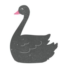 black swan
