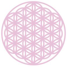 geometric flower circle