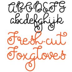 kb fresh-cut foxgloves