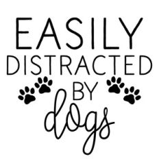 distracted by dogs