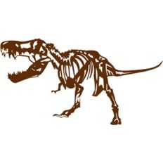 t-rex fossil