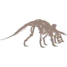 triceratops fossil