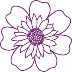 many petals flower