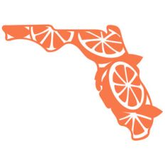 florida state oranges
