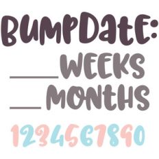 bumpdate: pregnancy countdown set