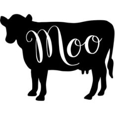 farmhouse cow