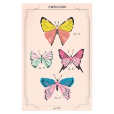 butterfly card