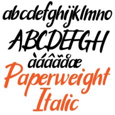 pn paperweight italic