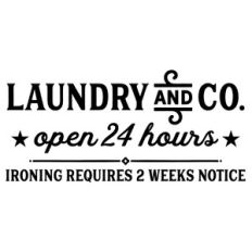 laundry and co.